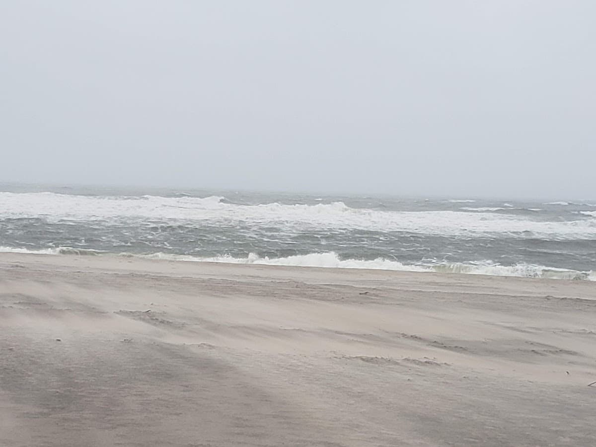 Coopers Beach surf spot