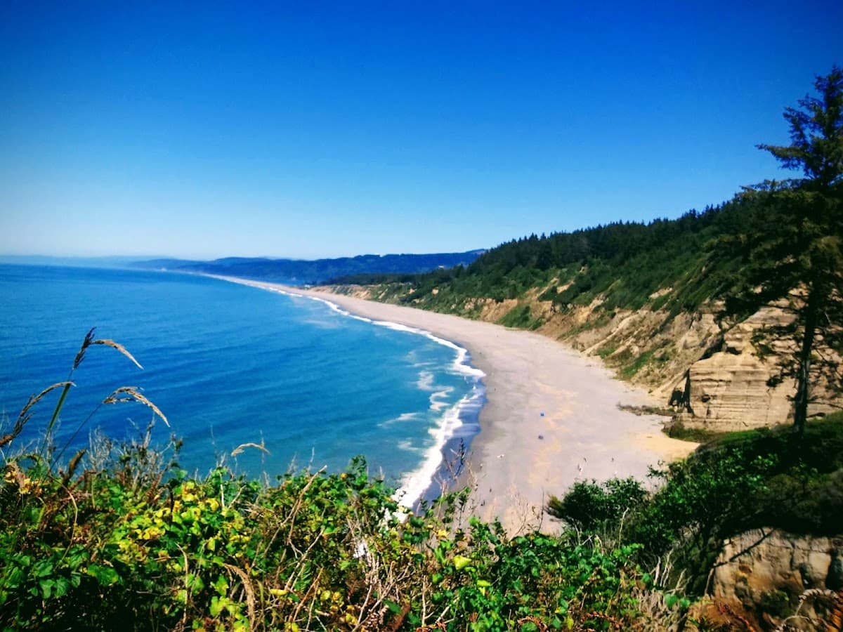 Agate Beach surf spot