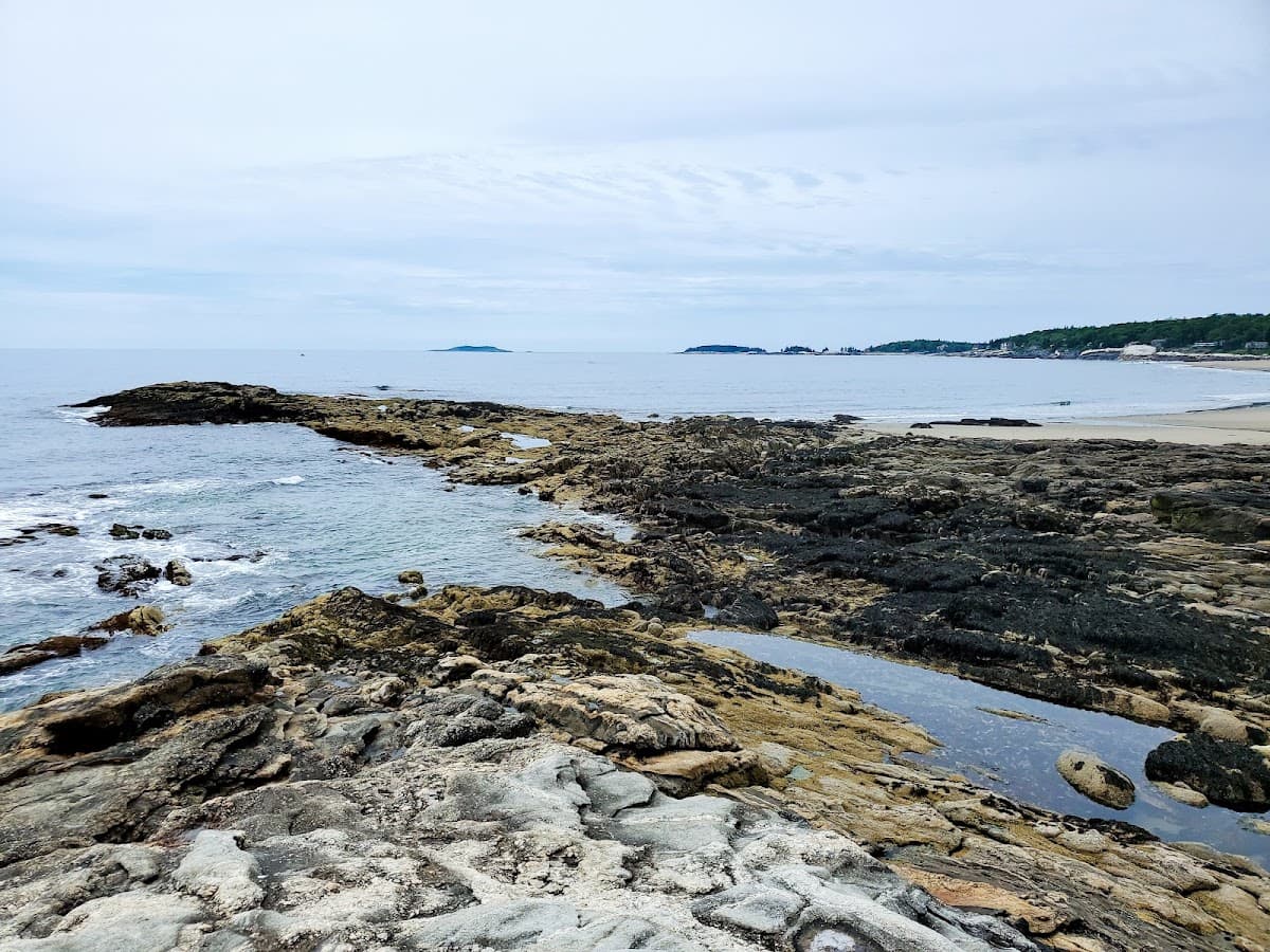 Reid State Park surf spot