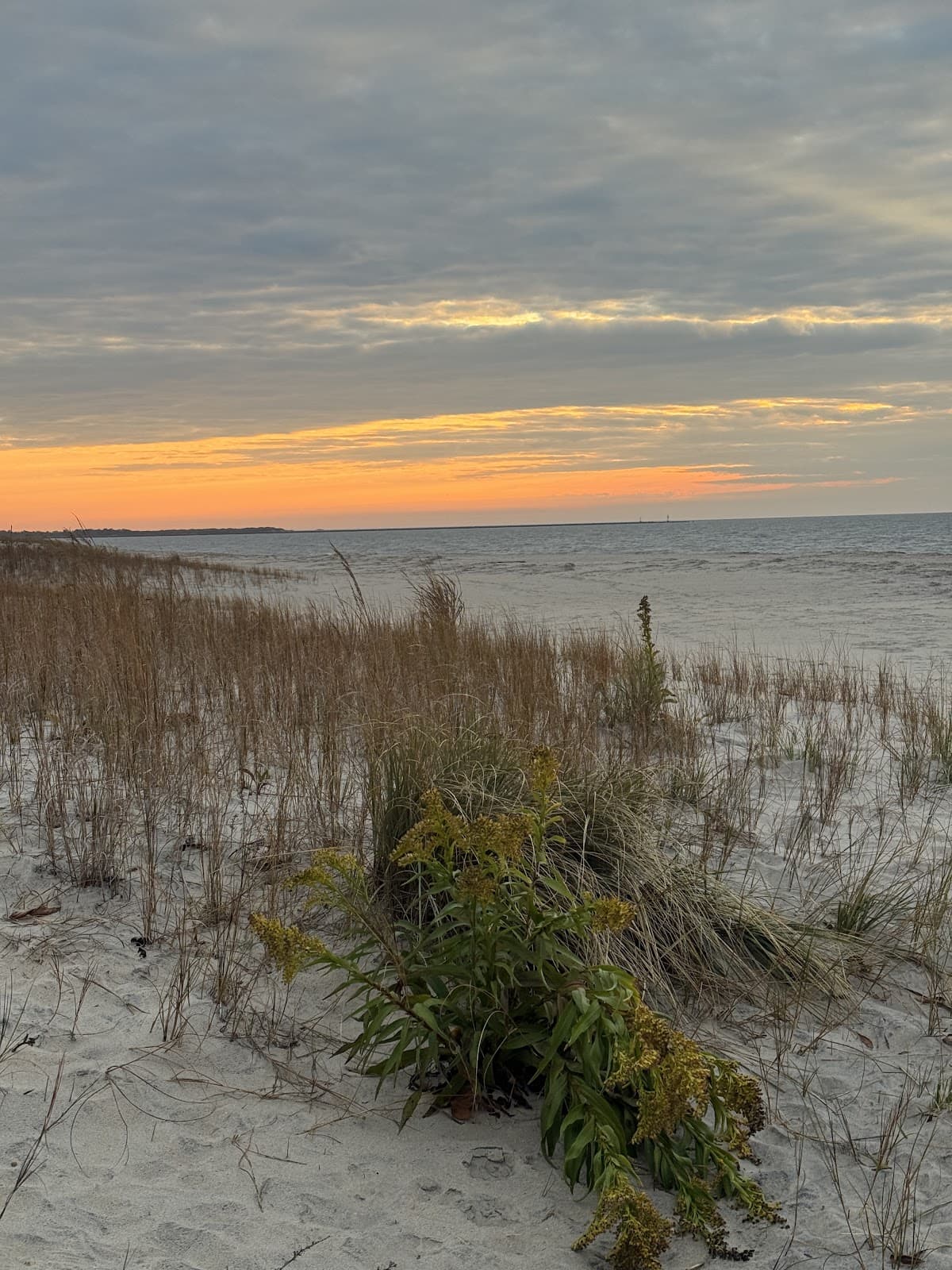 Poverty Beach surf spot