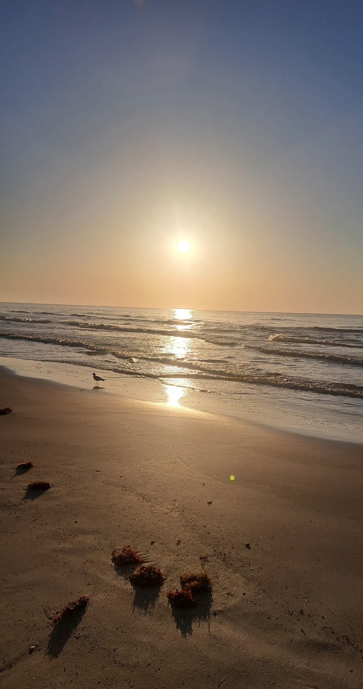 Bob Hall Pier surf spot