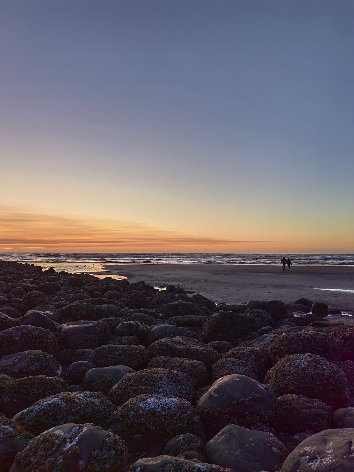 Seaside Cove surf spot
