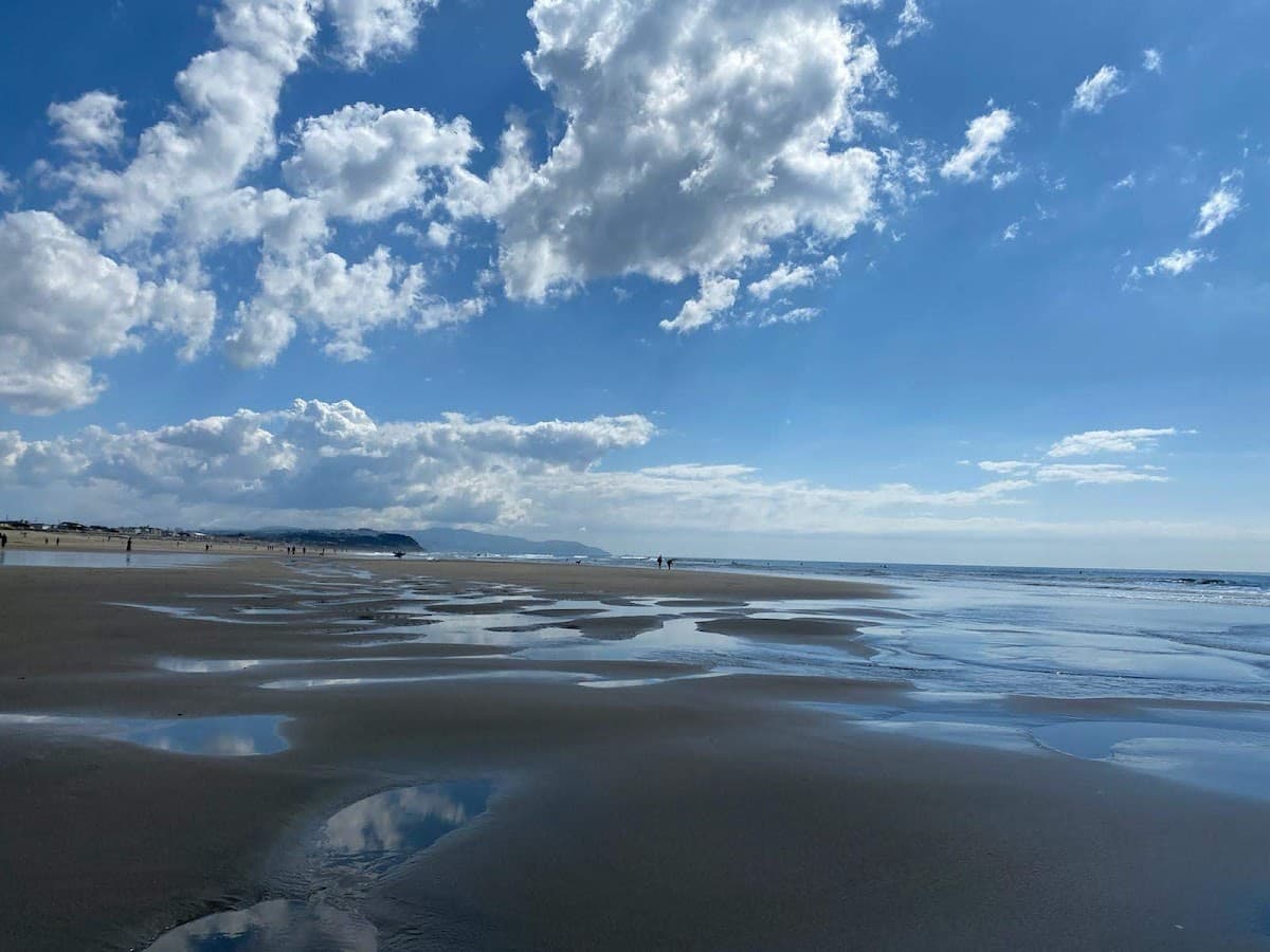 Ocean Beach surf spot