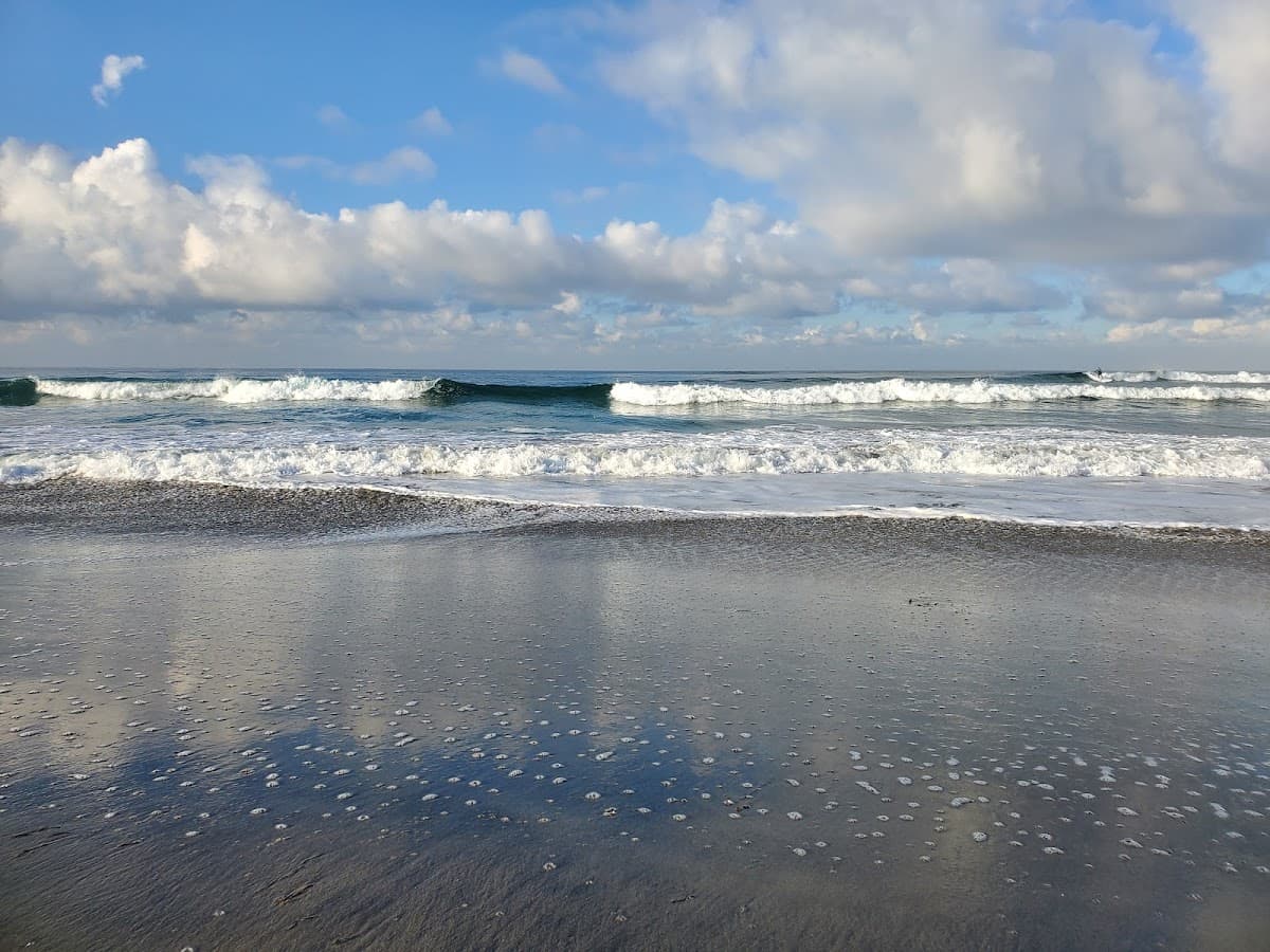 Cardiff Reef surf spot