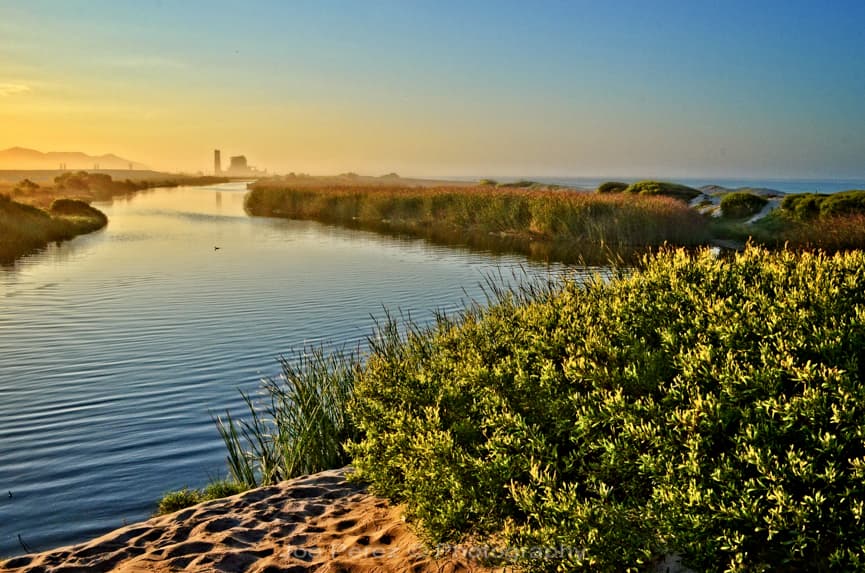 Ormond Beach surf spot