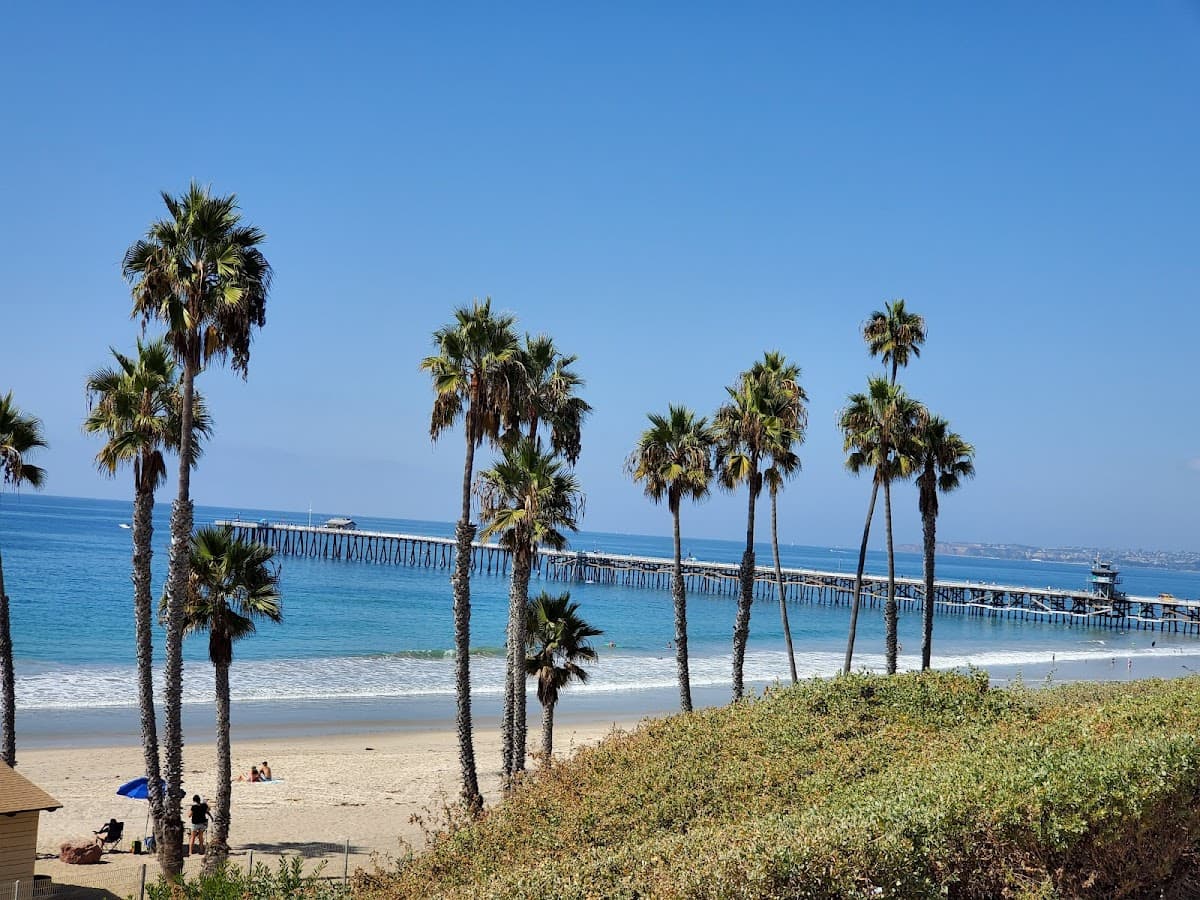 T Street (Trafalgar Street) surf spot