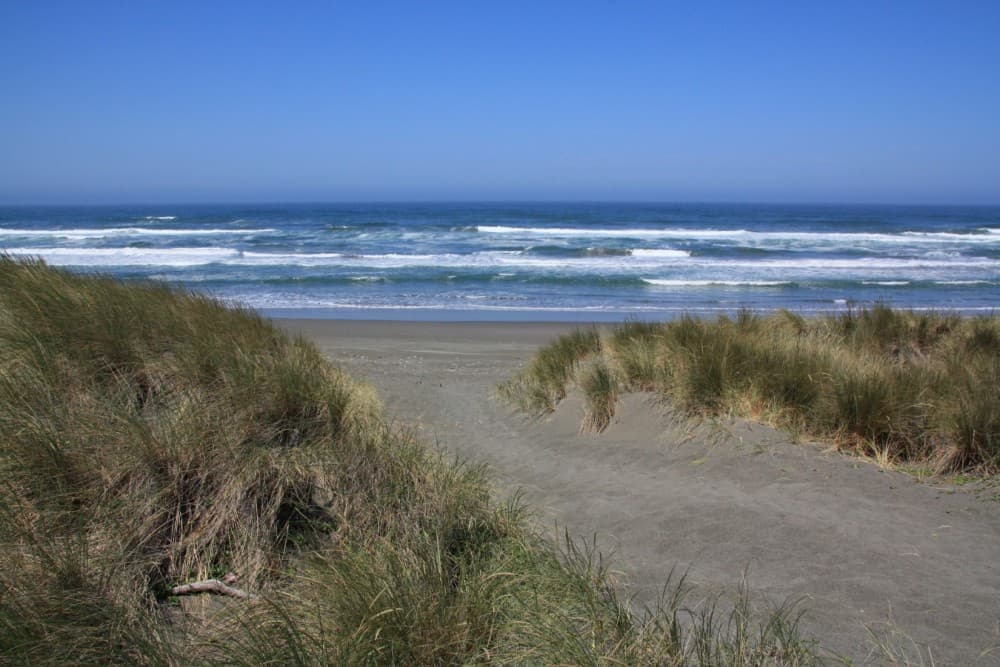 Tolowa Dunes State Park surf spot