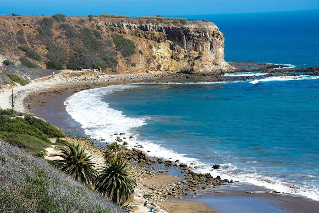 Palos Verdes Cove surf spot