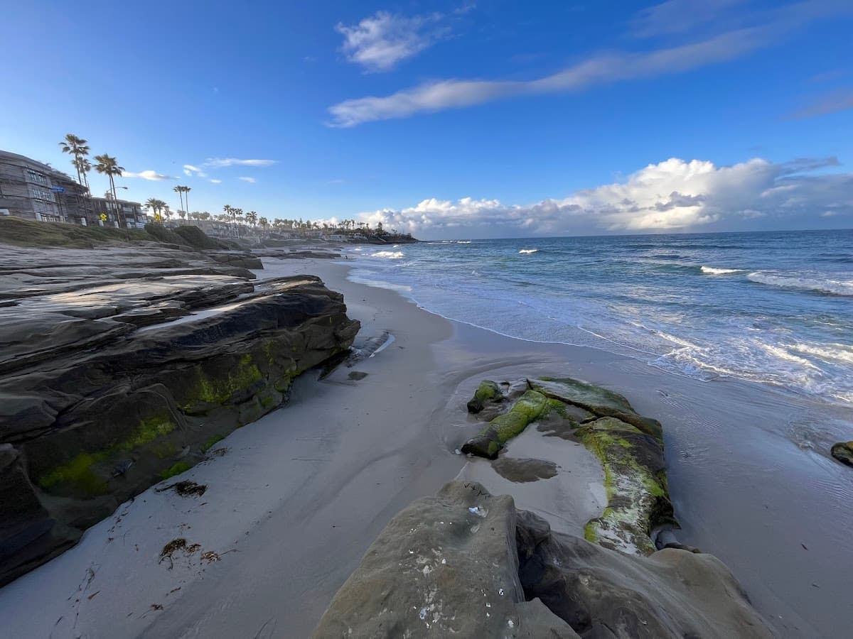 Windansea Beach surf spot