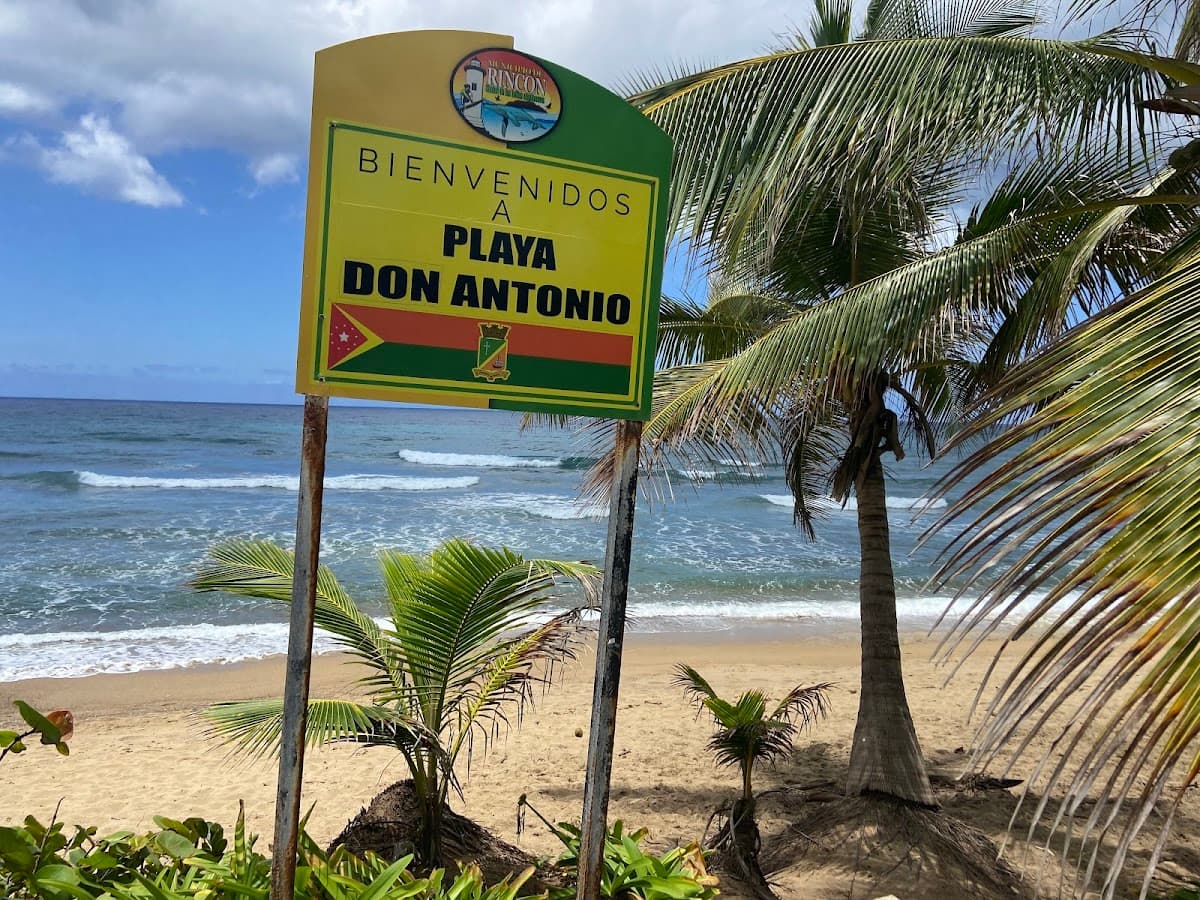 Parking Lots surf spot