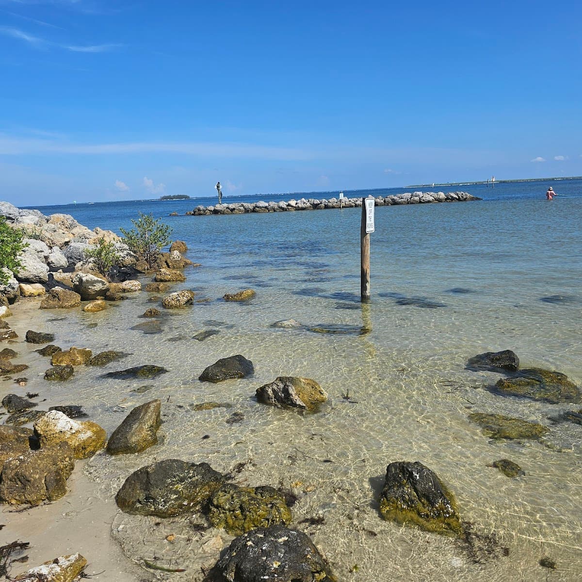 Apollo Beach surf spot