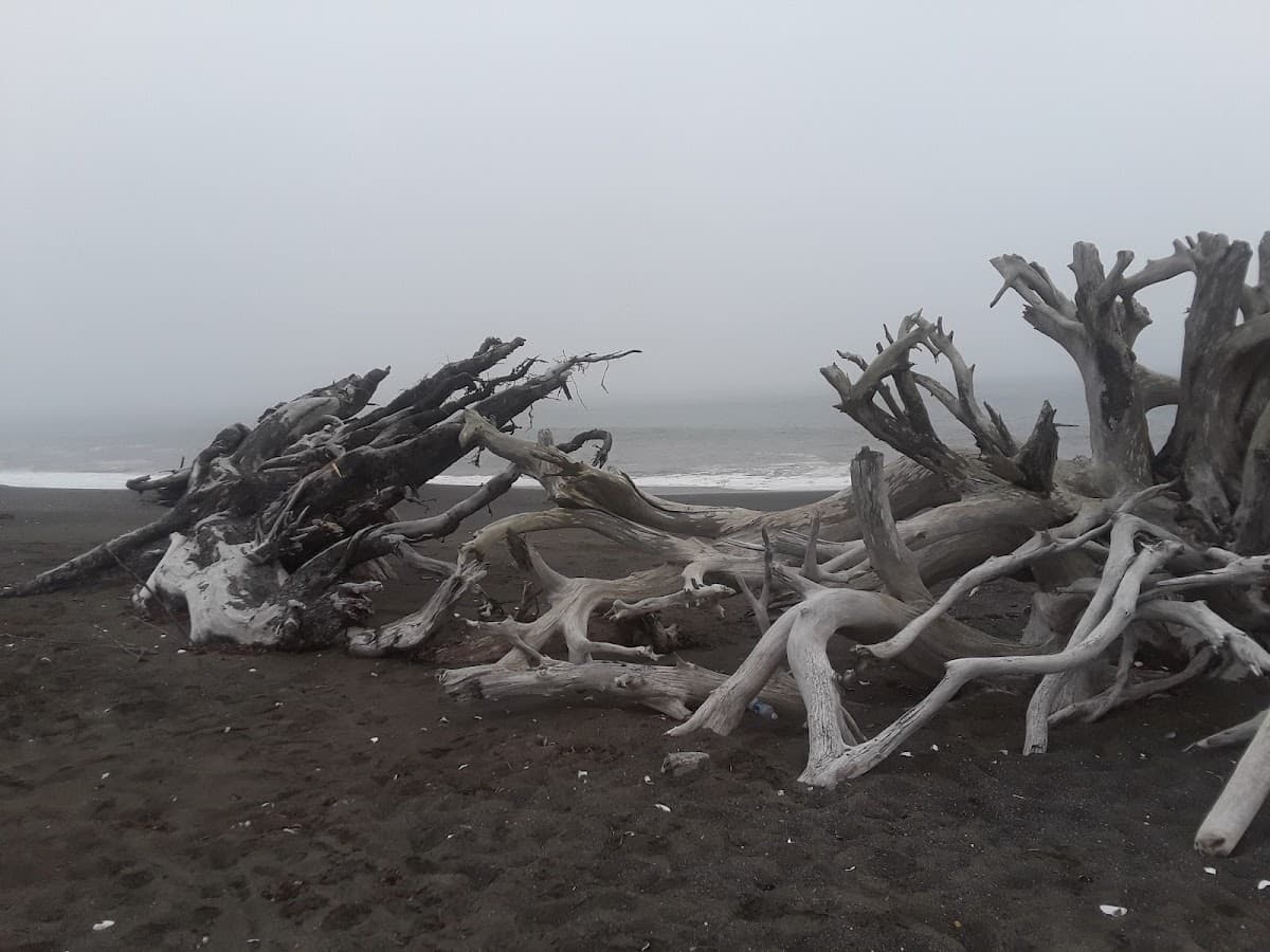 Damon Point surf spot