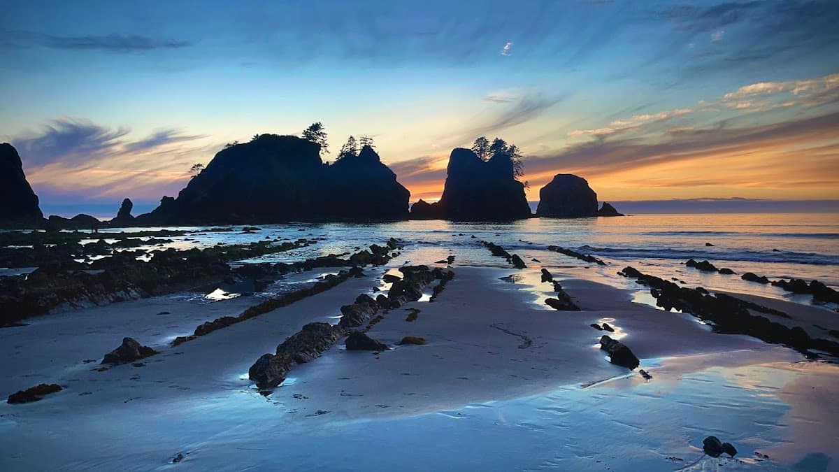 Shi Shi Beach surf spot