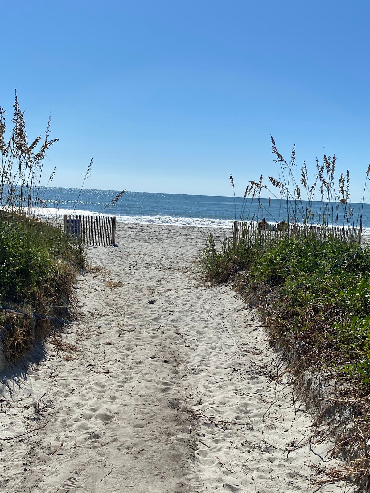 27th Ave/North Myrtle surf spot