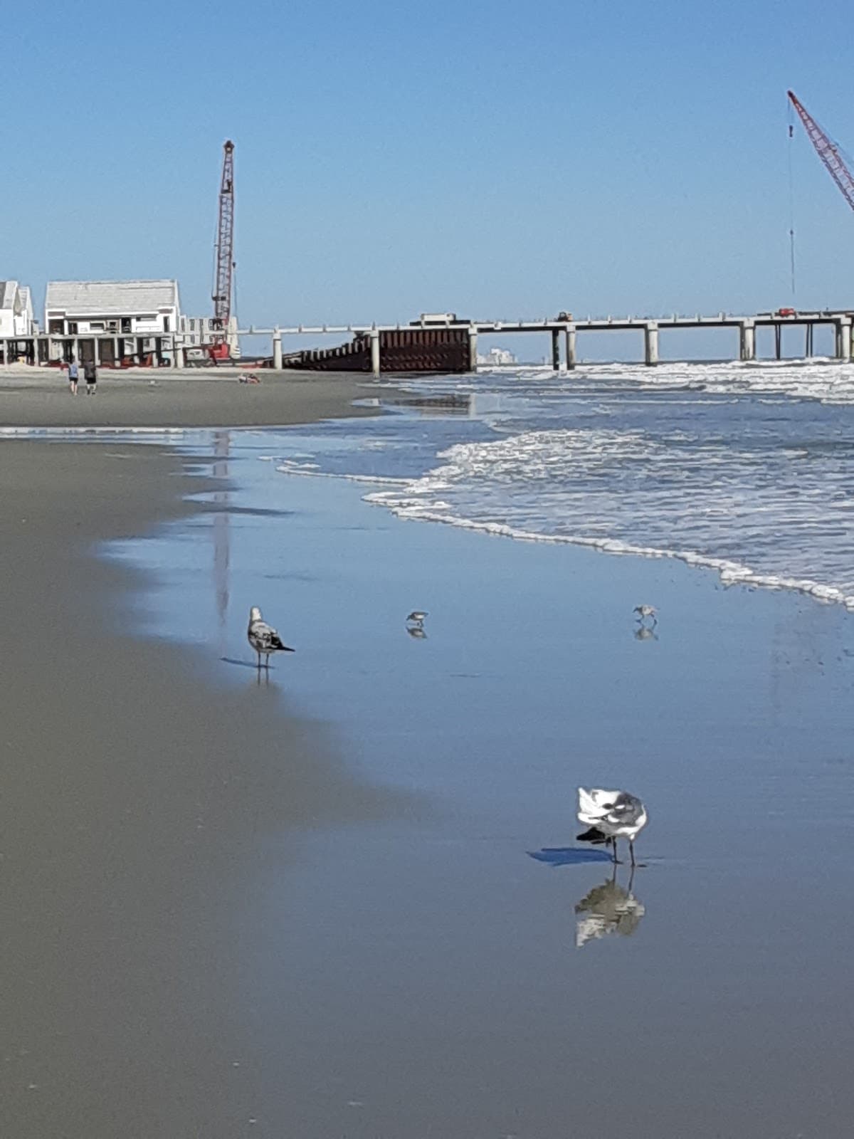 Surfside Beach surf spot